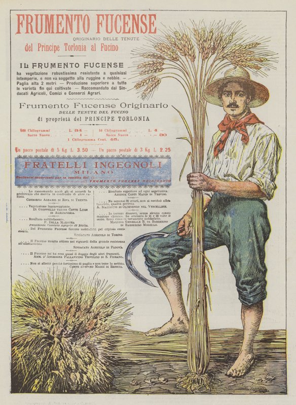 Trigo Fucense de Italian School