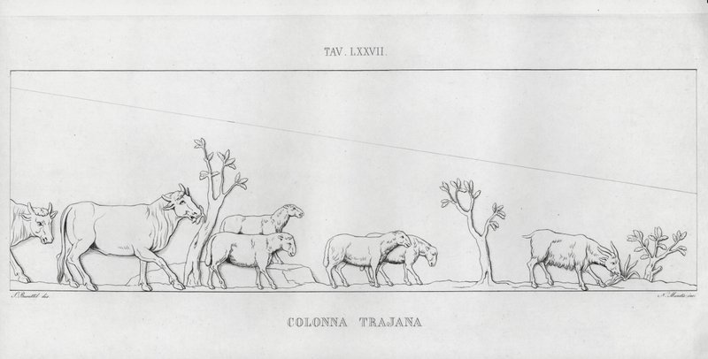 La Colonna Trajana, Trajan