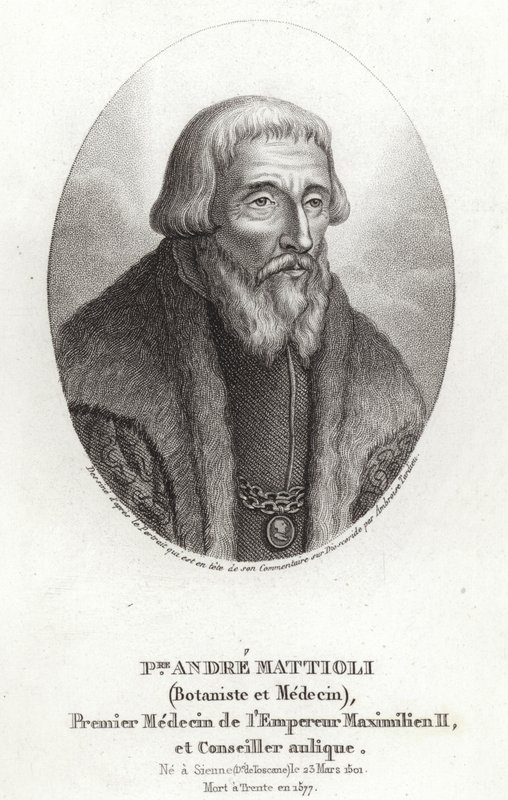 Pietro Andrea Mattioli de Italian School