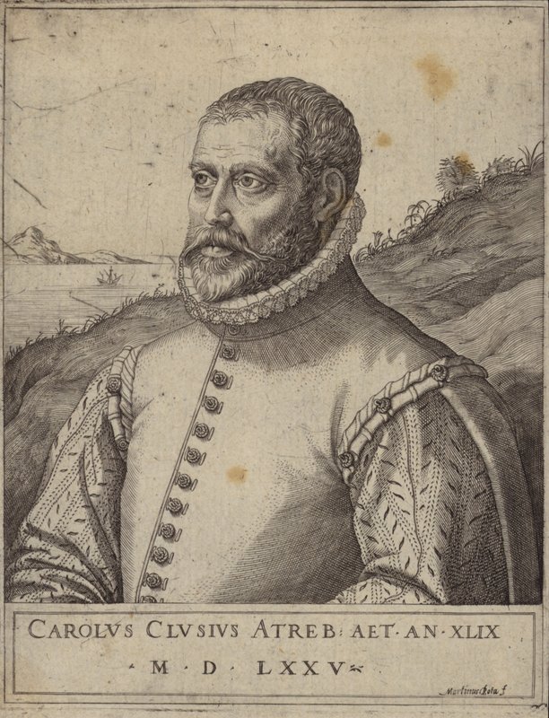Retrato de Carolus Clusius de Italian School