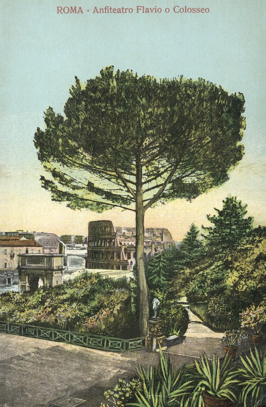 Roma, Itália, Anfiteatro e Coliseu (litografia a cores) de Italian School