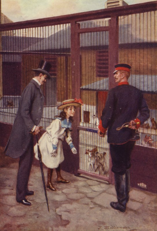 Ethel encontra o Scamp de J. Williamson