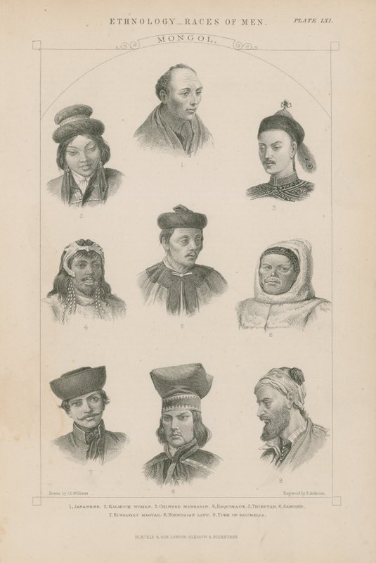 Nove faces de diferentes raças mongóis de J.L. Williams