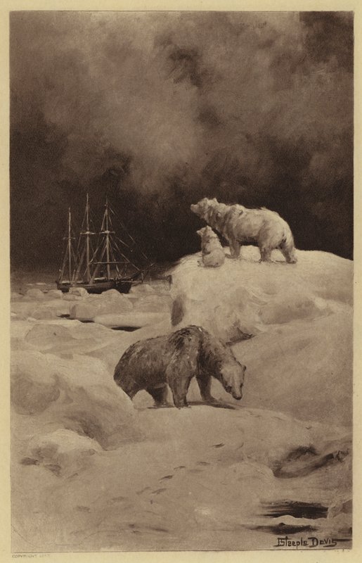 Peary in the Arctic Regions (Litho) de J. (after) Steeple Davis