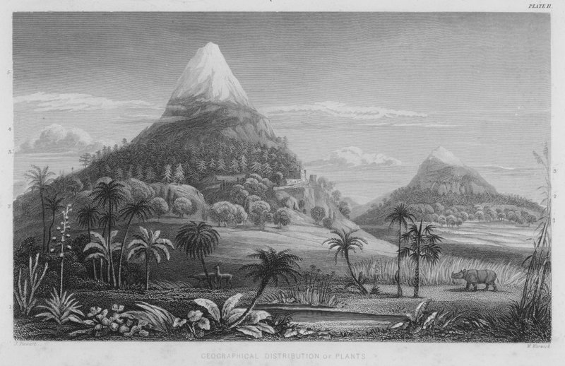 Distribuição Geográfica das Plantas (gravura colorida) de J. (after) Stewart