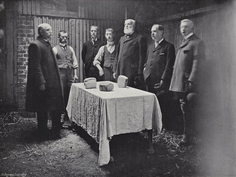 Distribuição da caridade de Carlows de J. Benjamin Stone