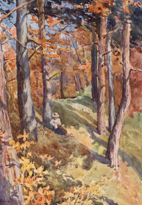 Na floresta de Sauvabelin, acima de Lausanne (litografia a cores) de J. Hardwicke Lewis