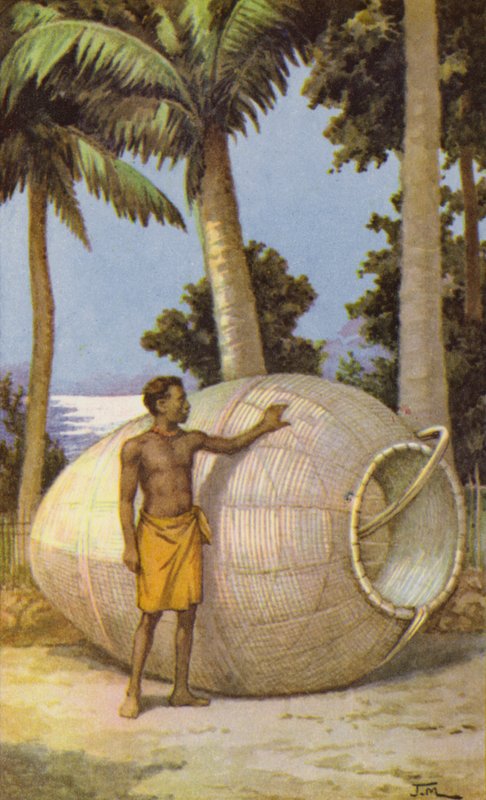 Homem da Nova Guiné com armadilha para peixe (cor litho) de J. Macfarlane