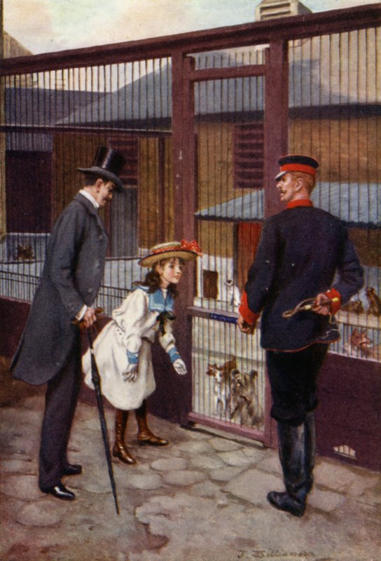 Ethel encontra Scamp (cor litho) de J. Williamson