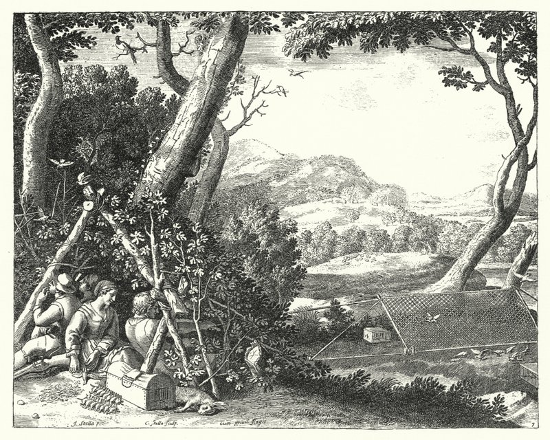 Captura de aves (gravura) de Jacques Stella