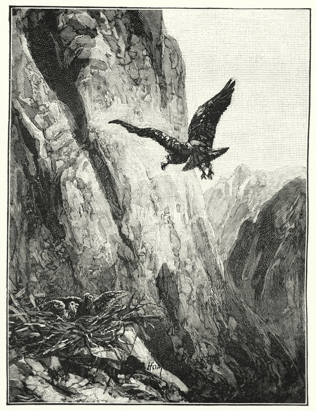 Ninho de águia no Monte Sinai (litho) de James (after) Clark