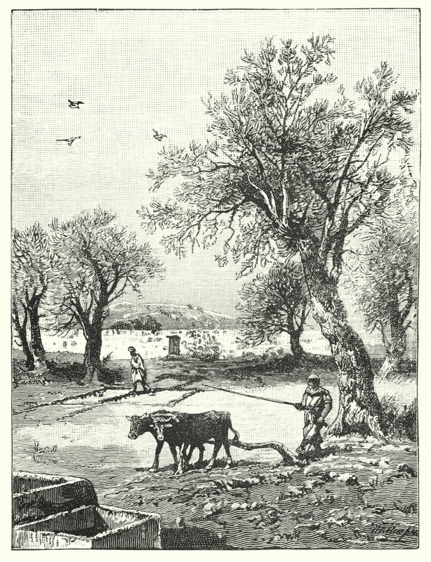 Arar numa vinha (litho) de James (after) Clark