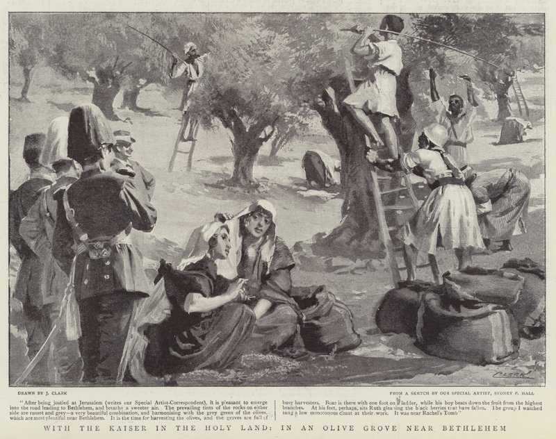 Com o Kaiser na Terra Santa, em um bosque de oliveiras perto de Belém de James Clark