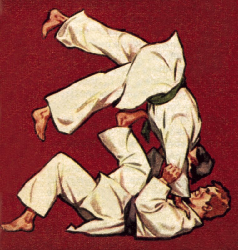 Judo de James Edwin McConnell
