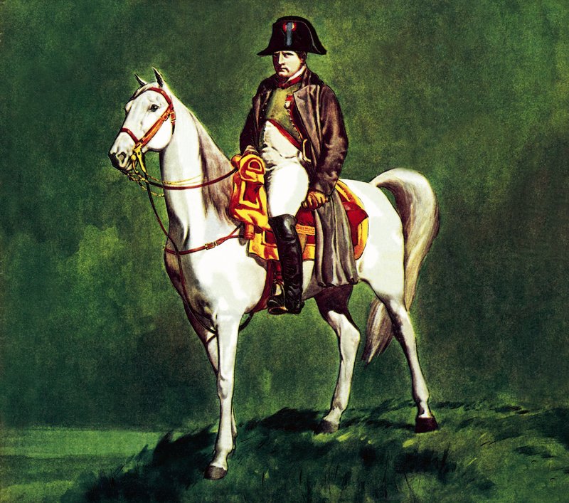 Napoleão no seu carro favorito, "Marengo de James Edwin McConnell