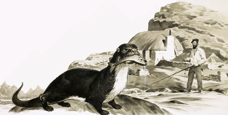 Lontra com peixe e homem a pescar de James Edwin McConnell