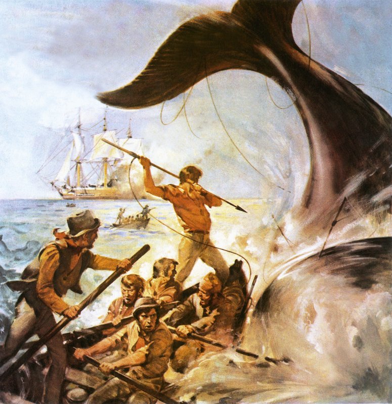 Pedro, o Baleeiro de James Edwin McConnell