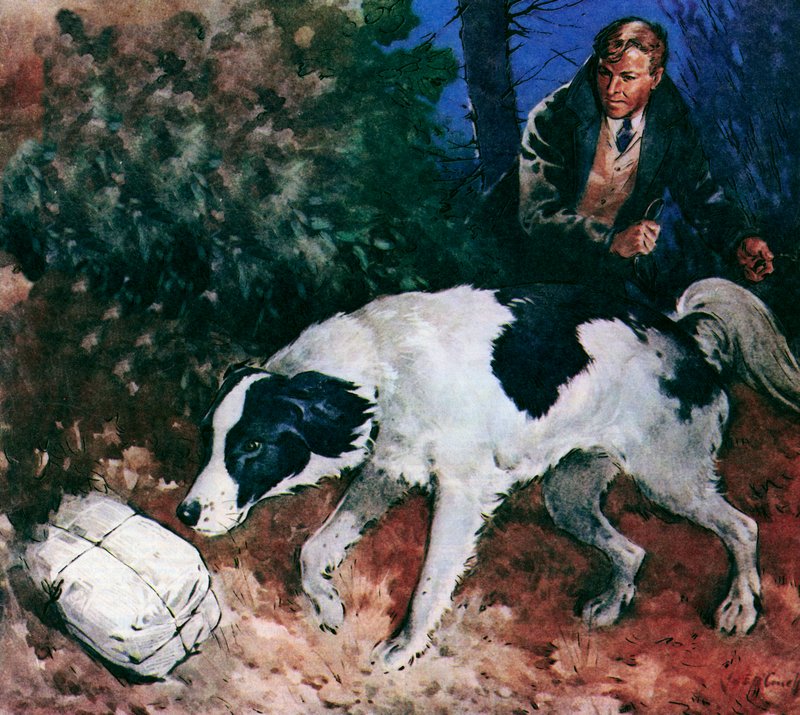 Pickles, o cão da Taça do Mundo (litografia a cores) de James Edwin McConnell