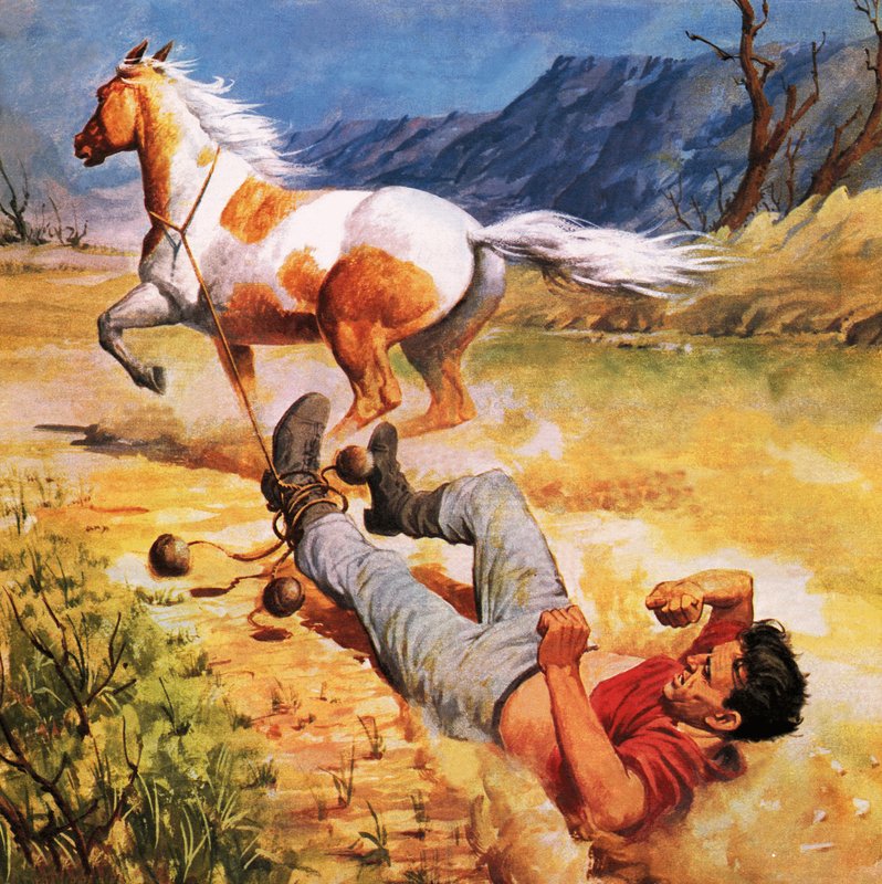 Cavalo fugitivo de James Edwin McConnell