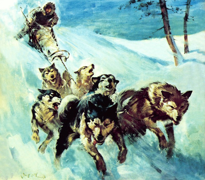 O Husky Canadiano de James Edwin McConnell