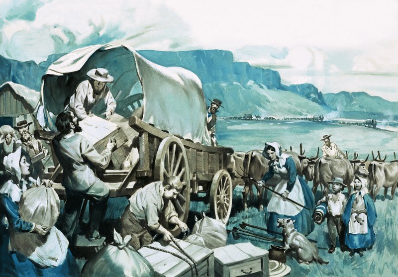 A Grande Caminhada de James Edwin McConnell