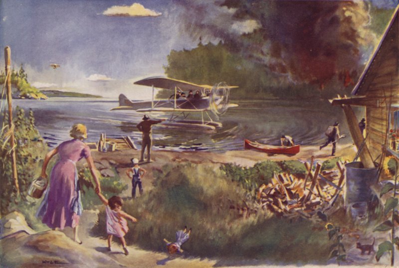 Avião e Incêndio Florestal de James Fergus Kyle
