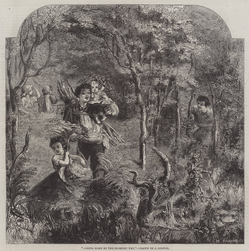Voltando para casa pelo caminho mais curto de James Godwin