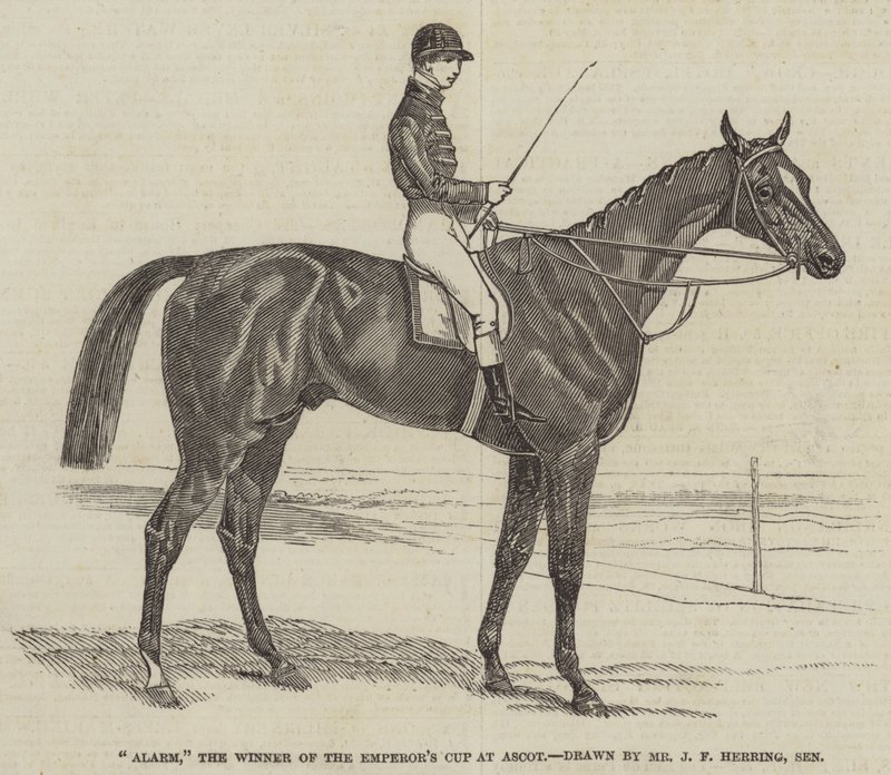 Alarme, o vencedor da Taça do Imperador no Ascot de James Herring