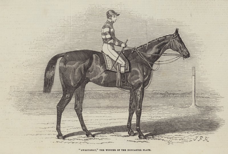 Sweetmeat, o vencedor da placa de Doncaster de James Herring