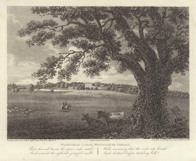 Robert Bloomfield, poeta: Wakefield Lodge, Whittlebury Forest (gravura) de James Storer