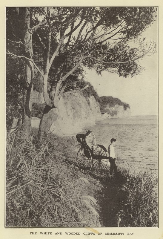 As falésias brancas e arborizadas da Baía de Mississippi de Japanese Photographer