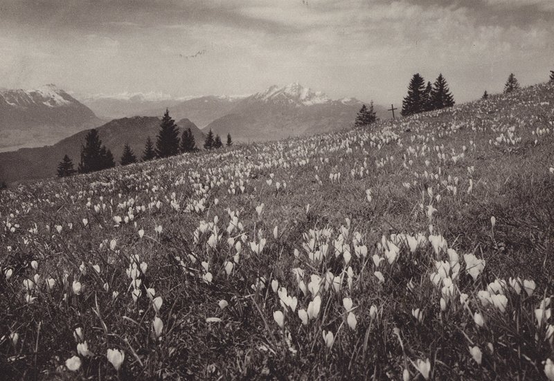 Rigi Kaltbad, Primavera (foto a p/b) de Jean Gaberell