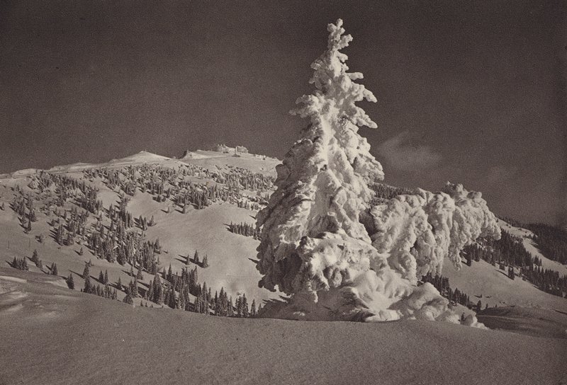 Rigi Kaltbad, Skigelande e Rigi Kulm (foto p/b) de Jean Gaberell