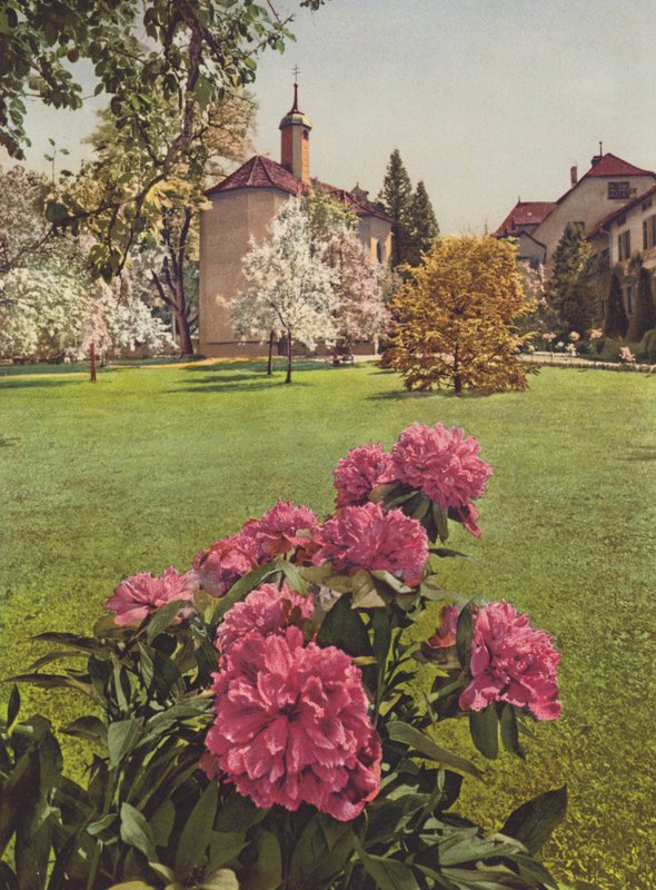 Suíça: Mammern no Lago de Constança, nos Jardins do Sanatório (foto colorida) de Jean Gaberell