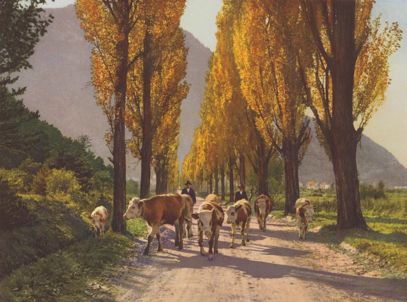 Suíça: O Vale do Ródano perto de Visp (foto a cores) de Jean Gaberell