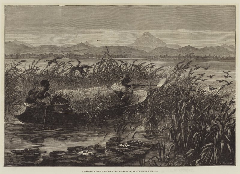 Atirando aves aquáticas no lago Mirambala, África de Johann Nepomuk Schonberg
