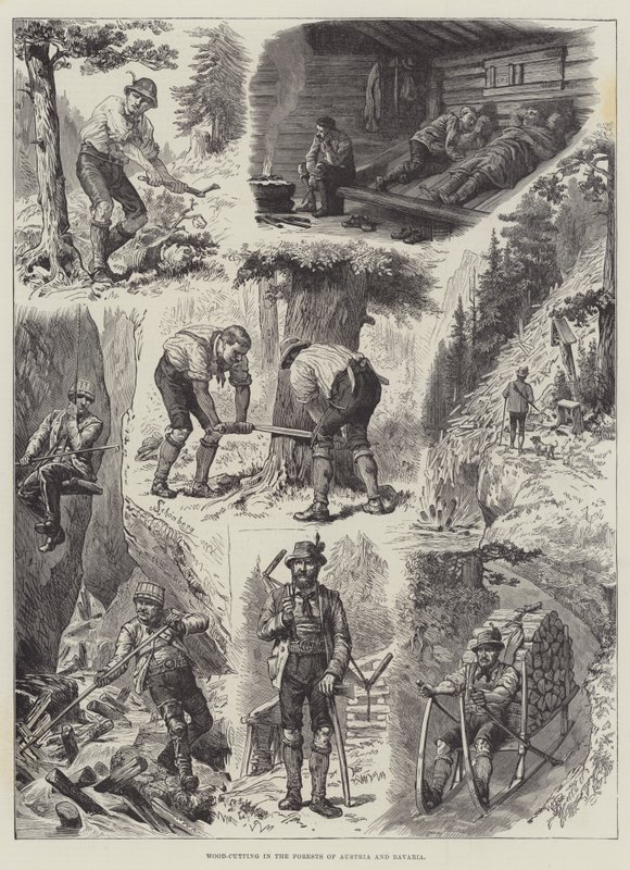 Corte de madeira nas florestas da Áustria e da Baviera de Johann Nepomuk Schonberg