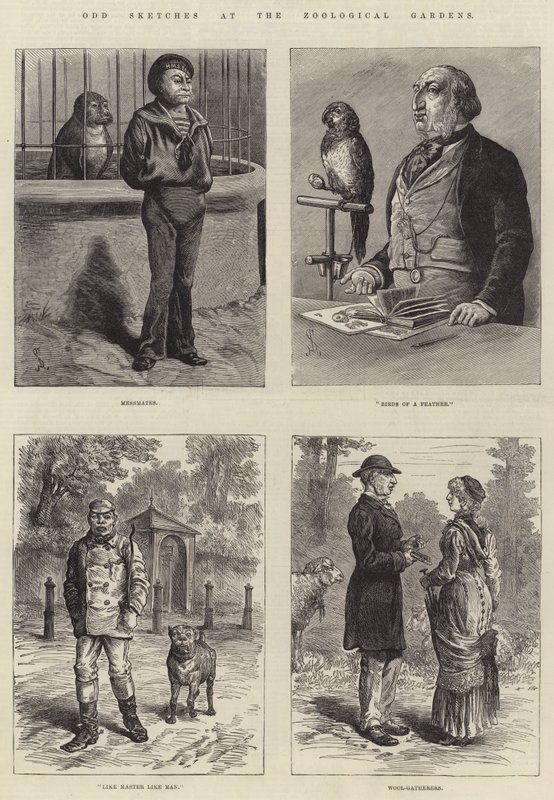 Esboços estranhos nos jardins zoológicos de Johann Nepomuk Schonberg