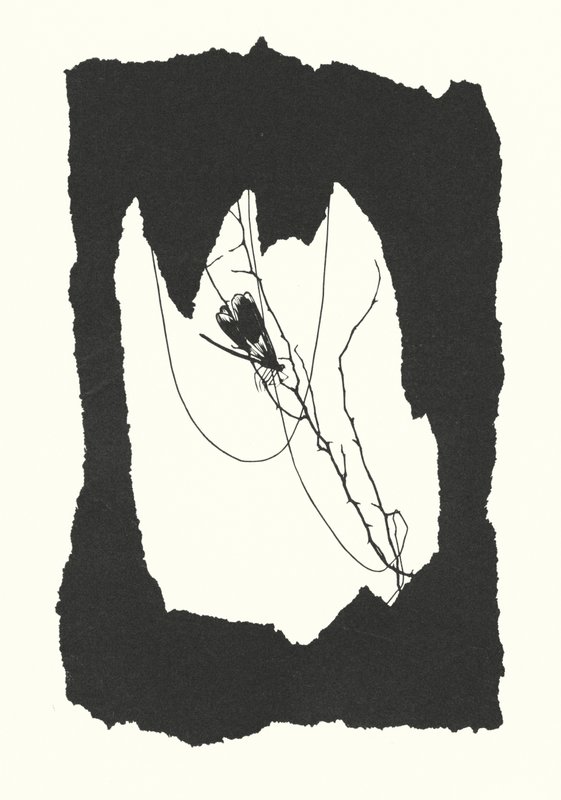 Silhueta de Johanna Beckmann (litografia) de Johanna Beckmann