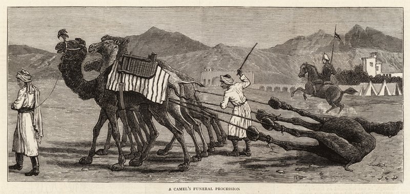 Procissão funeral de um camelo de John Charles Dollman