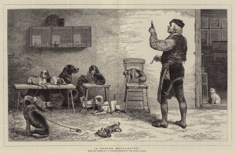 Um Esculápio Canino de John Charles Dollman