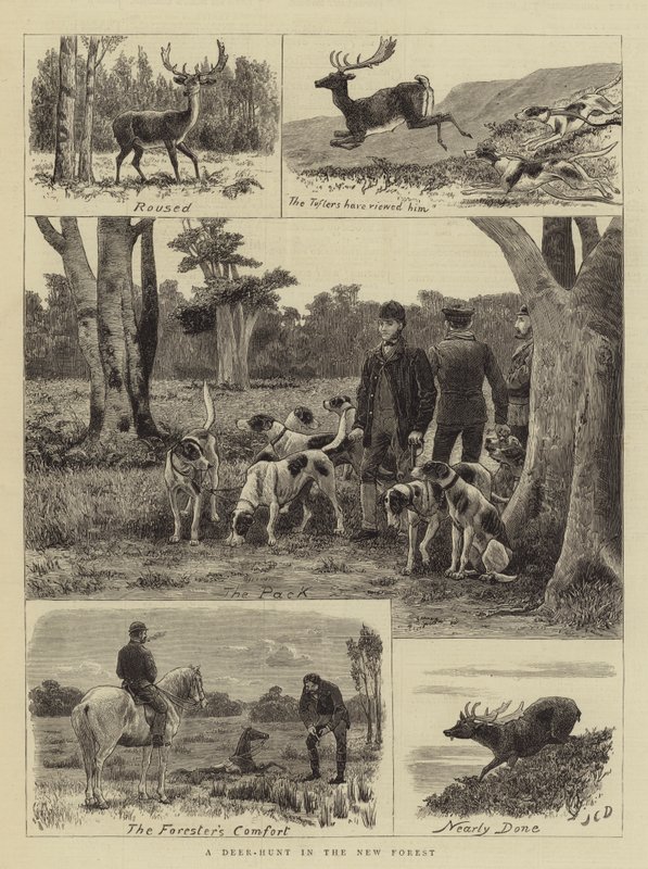 Uma caçada de veados na nova floresta de John Charles Dollman