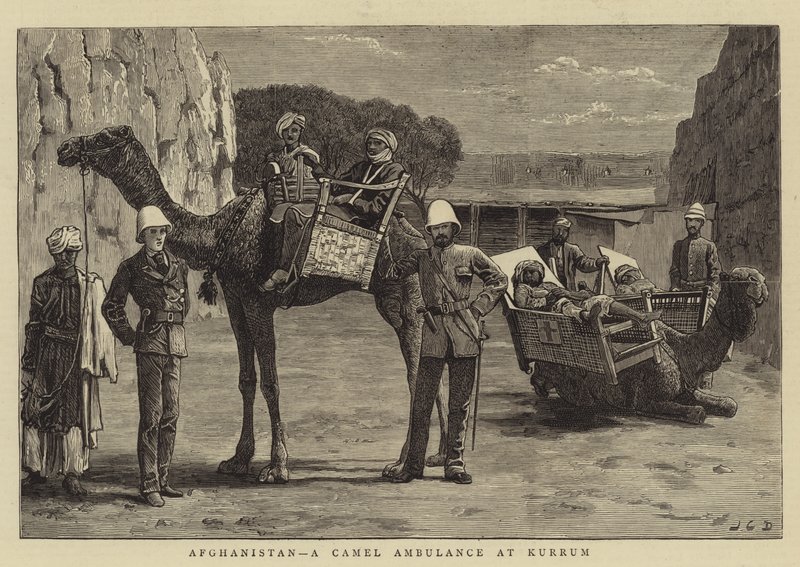 Afeganistão, uma ambulância de camelos na Kurrum de John Charles Dollman