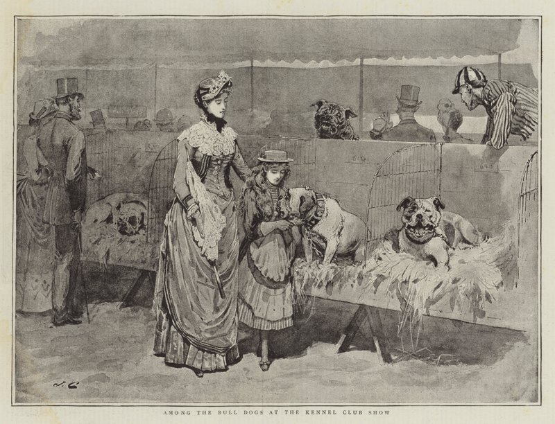 Entre os Bull Dogs no Kennel Club Show de John Charles Dollman
