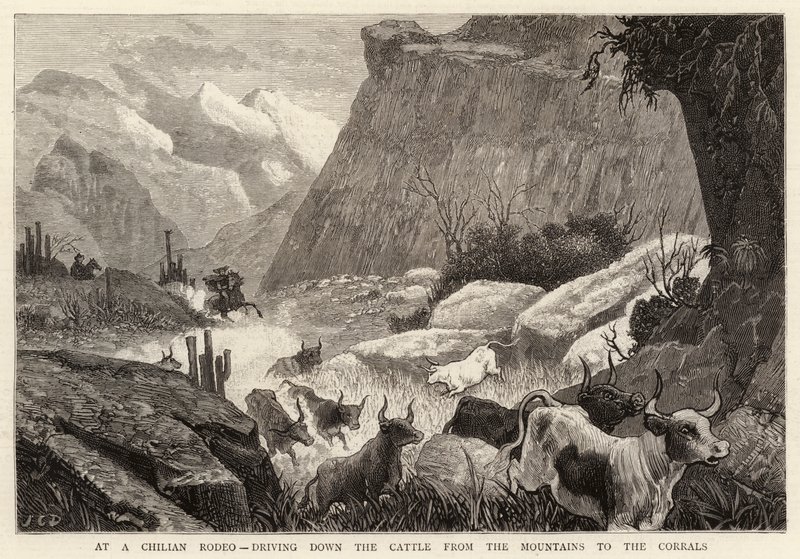 Em um rodeio chileno, dirigindo o gado das montanhas para os currais de John Charles Dollman