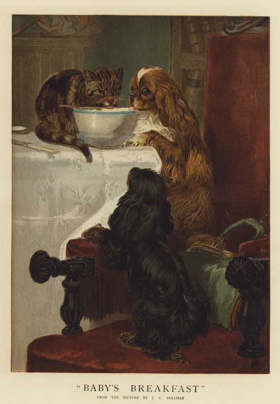 Café da manhã do bebê (chromolitho) de John Charles Dollman