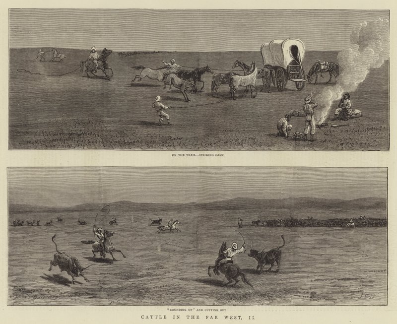 Gado no Far West, II de John Charles Dollman