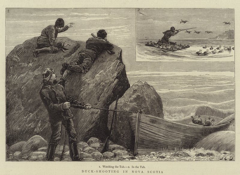 Pato-tiro na Nova Escócia de John Charles Dollman