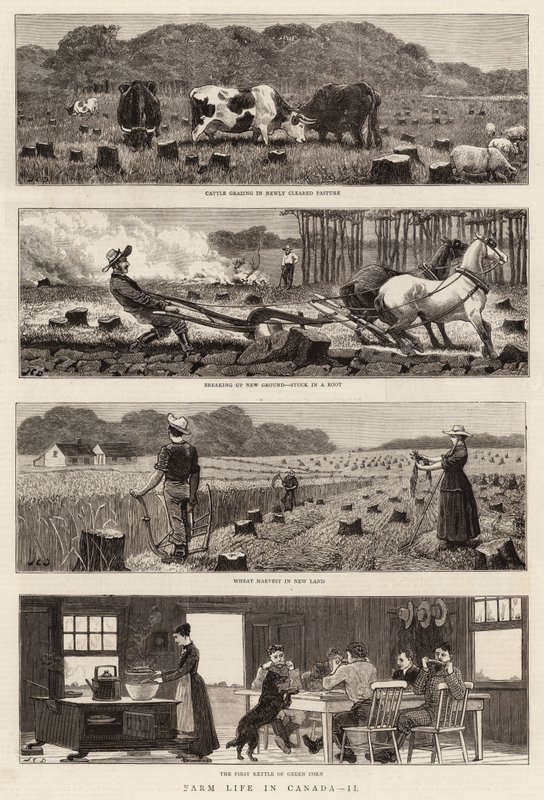 Farm Life no Canadá, II de John Charles Dollman