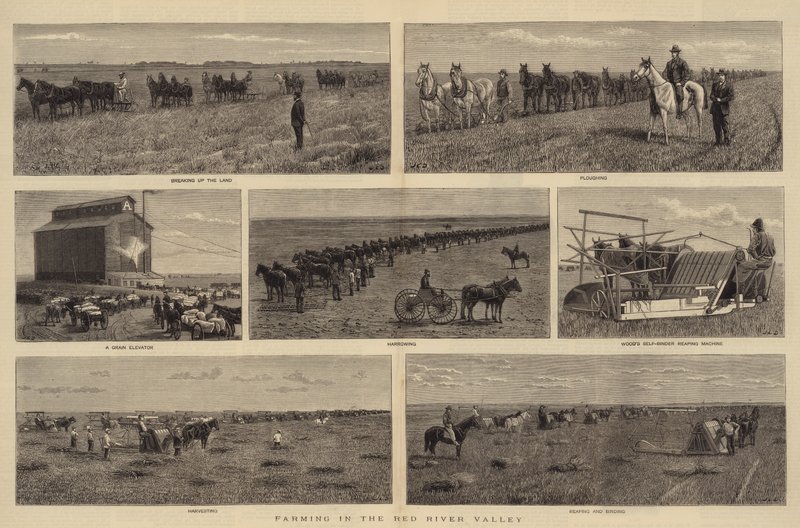 Agricultura no Vale do Rio Vermelho de John Charles Dollman